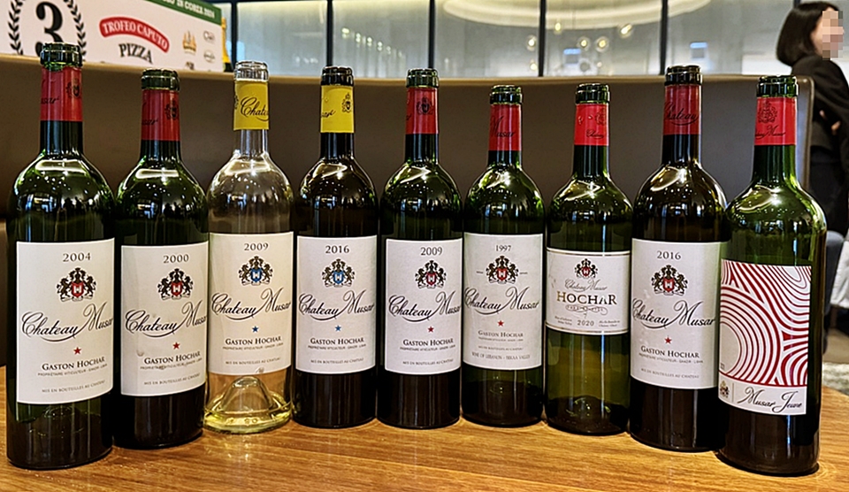 샤또 무사르(Château Musar)의 와인들 (사진 = 도윤 기자) 