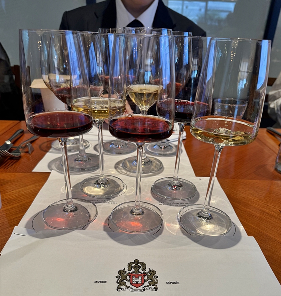 샤또 무사르(Château Musar)는 (사진 = 도윤 기자)