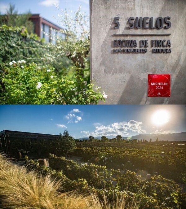 핀카 빅토리아 – 두리구티 패밀리 와인메이커스 (사진=Finca Victoria - Durigutti Family Winemakers/World's Best Vineyards)