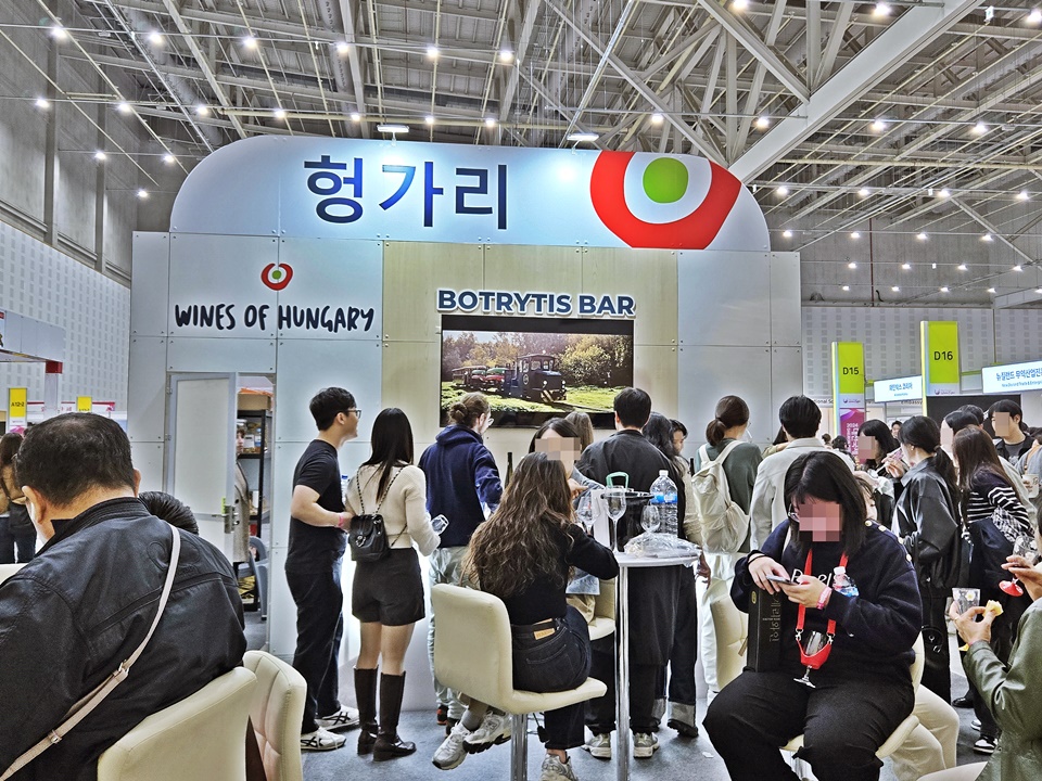'2024 대전 국제 와인 EXPO'의 주빈국 헝가리의 와인을 만나볼 수 있던 부스 (사진 = 도윤 기자)
