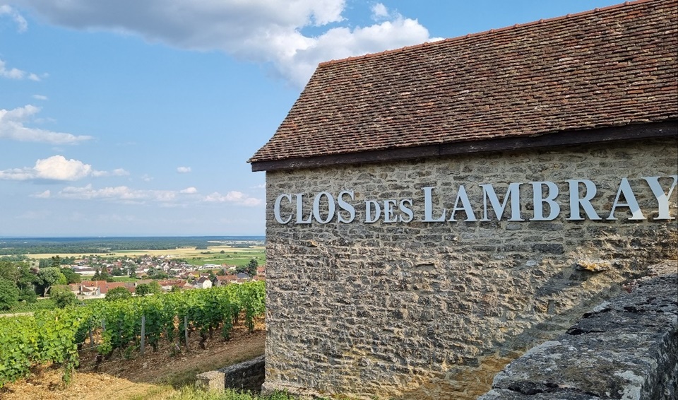 Clos des Lambray 전경 사진 (사진=마현수)