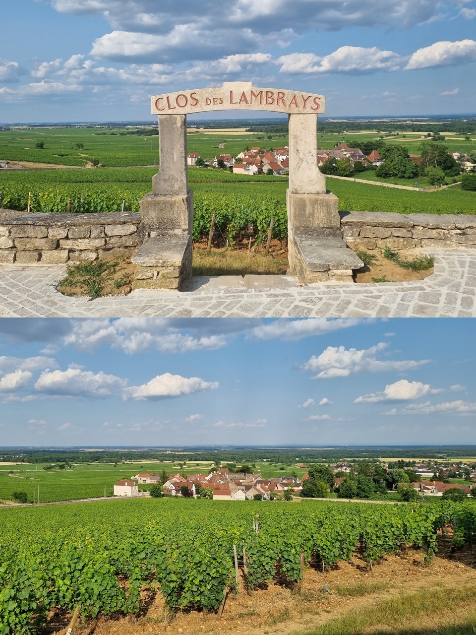 그랑크뤼 Clos des Lambrays 포도밭 전경 (사진=마현수)