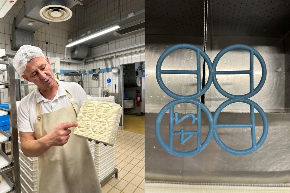 치즈장인이 탈레조 치즈 DOP 인증마크를 설명하고 있다