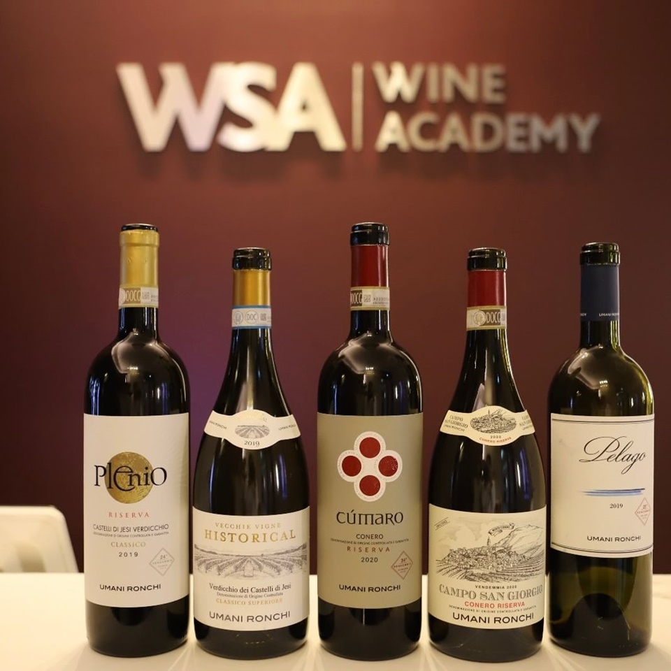 (왼쪽부터) 플레니오(Plenio), 히스토리컬(Historical, 미수입), 꾸마로(Cumaro), 깜포 산 조르지오(Campo San Giorgio), 펠라고(Pelago)