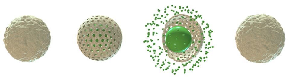 에덴 리서치(Eden Research)가 개발한 메발론(Mevalone) 기술 @Eden Research