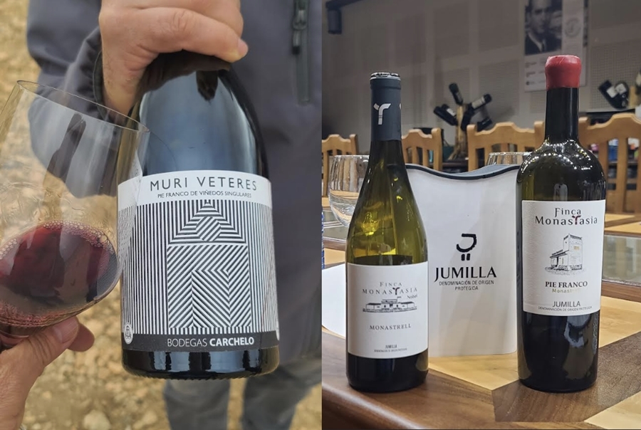 후미야에서 시음한 피에 프랑코 와인들의 일부