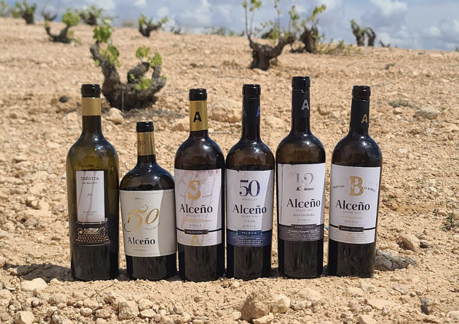 보데가스 알세뇨의 포도밭에서 시음한 와인들