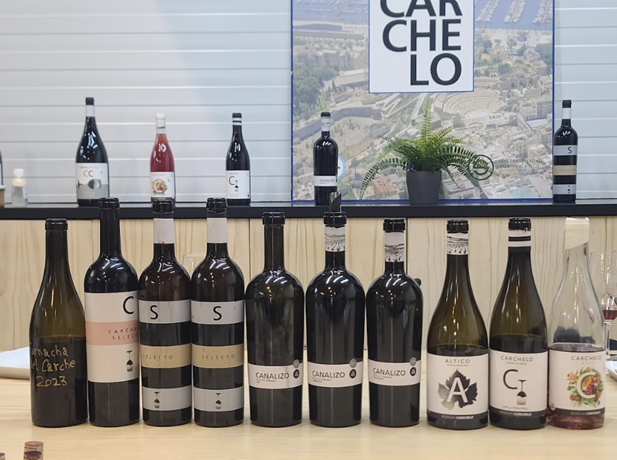 보데가스 카르첼로에서 시음한 와인들