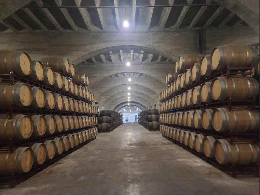 오크통이 많은 보데가스 BSI의 셀라