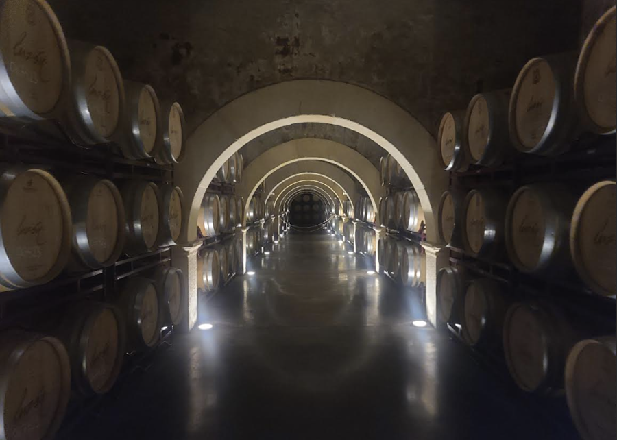 보데가스 루손의 Crianza Room