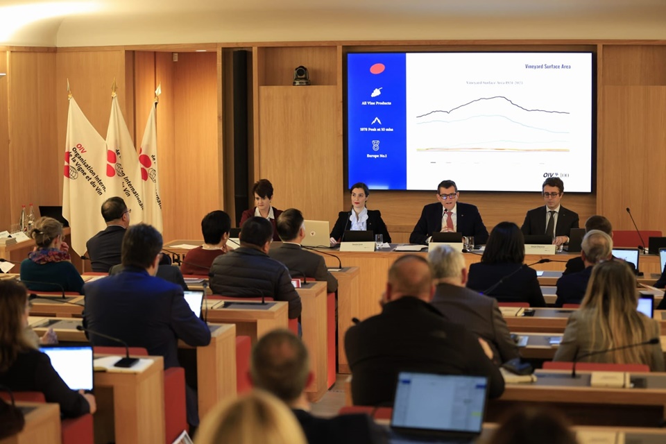 OIV가 창립 100주년을 맞아 지난 100년간의 전 세계 포도나무와 와인 추세에 대한 분석을 제시하고, 2024년 와인 생산에 대한 최초 추정치를 공개했다. (사진=Baptiste Paquot_OIV)