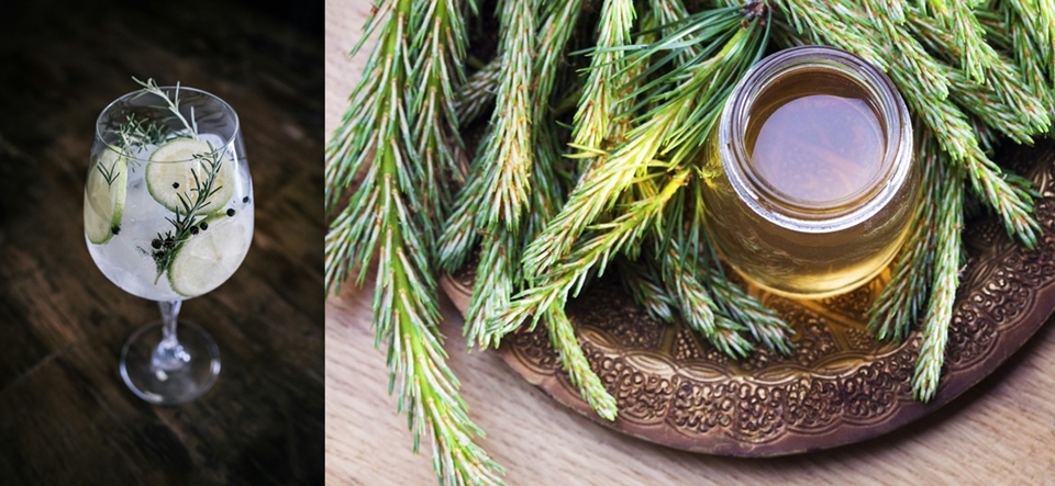 주니퍼베리가 들어간 진토닉(좌) 송순이 들어간 송순주(우) @픽사베이, 김미선