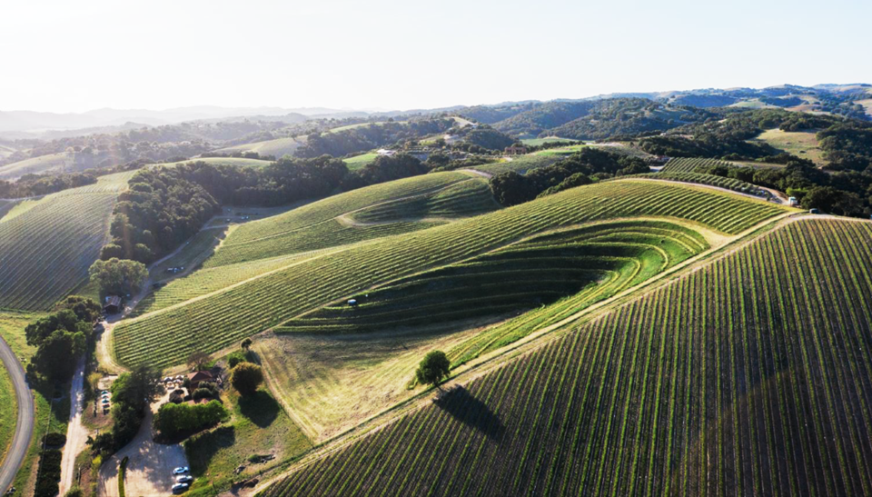 파소 로블스(Paso Robles) - 부커 빈야드