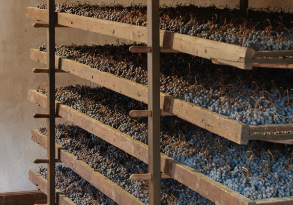 @베르타니(사진=Bertani)