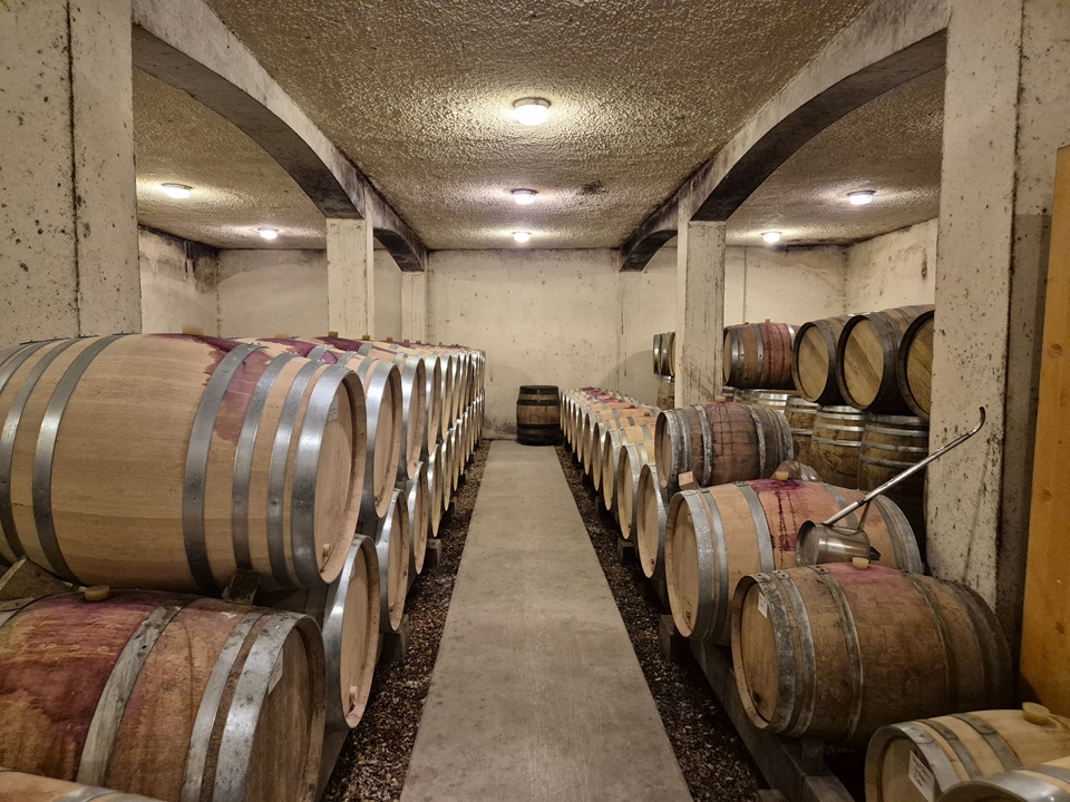 도멘 크리스티앙 끌레흐제 숙성중인 지하 꺄브와 오크통 (사진=마현수)