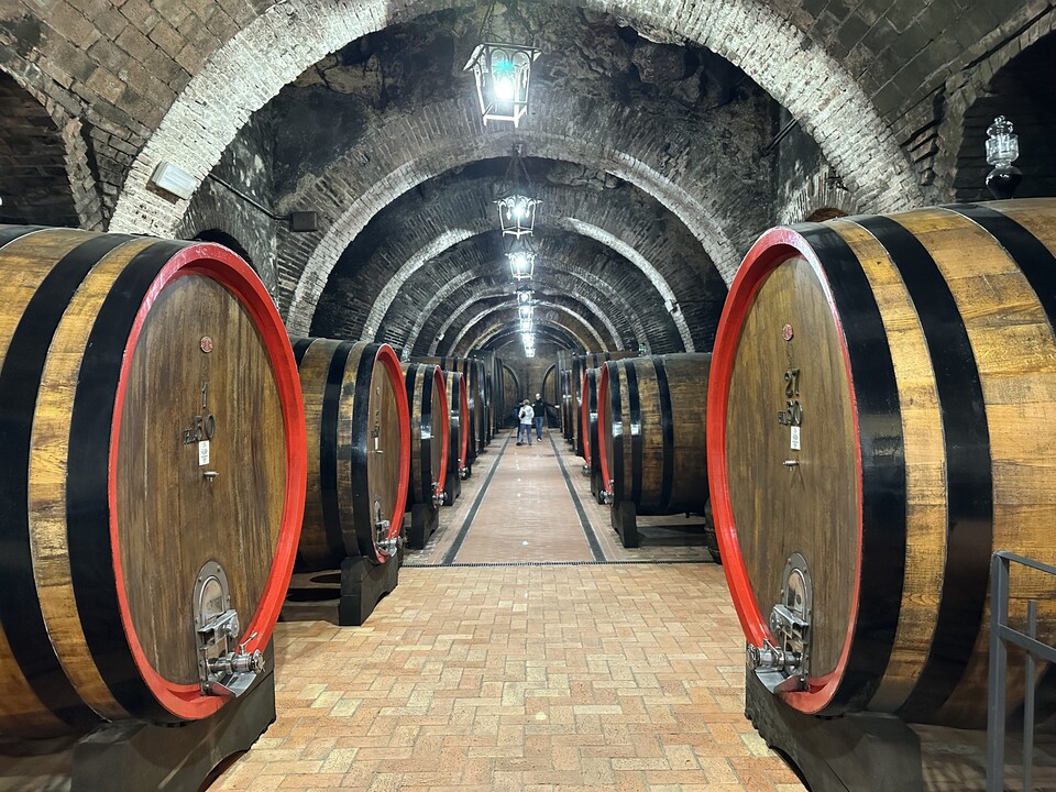 탈로사 Talosa동굴 와이너리- 몬테풀차노 도심에는 동굴로 존재한지 최소 2천 년, 와인을 숙성한 지는 최소 5백 년 된 셀러가 여러 군데 존재한다