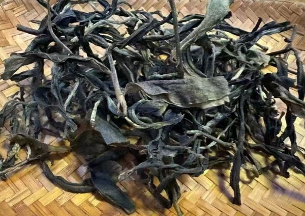 주(周)씨 4남매의 박하당(薄荷塘) 모차