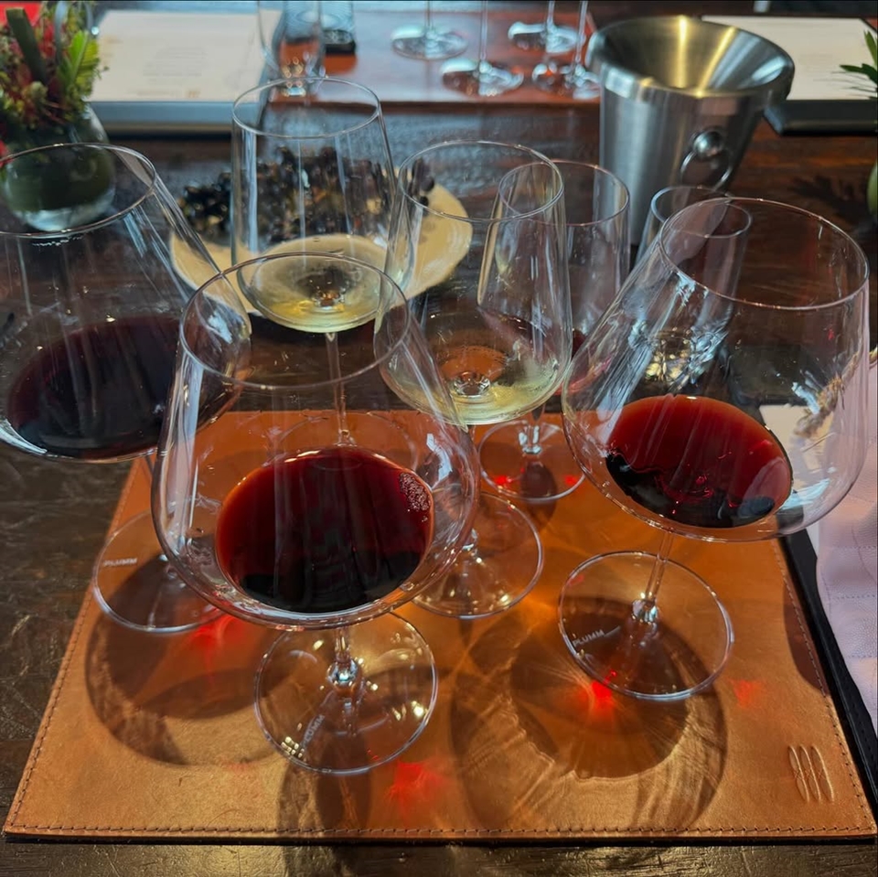 '더 랜딩(The Landing)' 와인을 시음하고 있는 두아 리파 (사진=두아 리파 인스타그램)