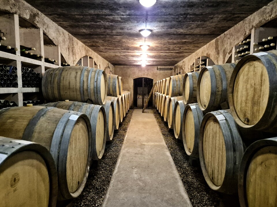600L 드미 뮈(demi-muid) 오크통에서 숙성중인 와인들 (사진=마현수)