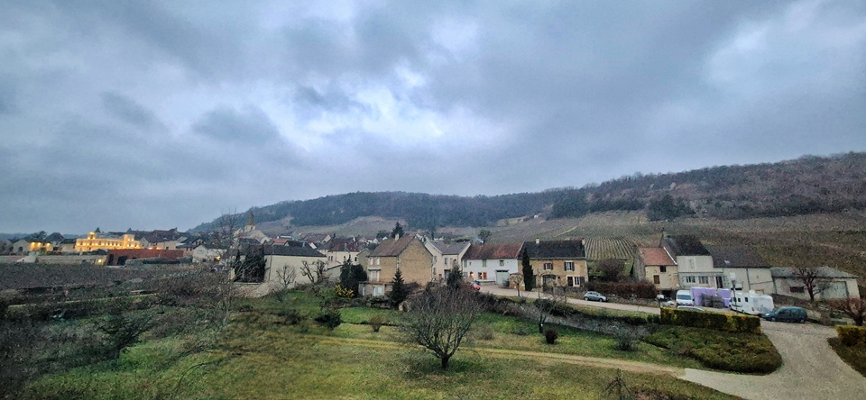 생또방 포도밭 전경 (사진=마현수)