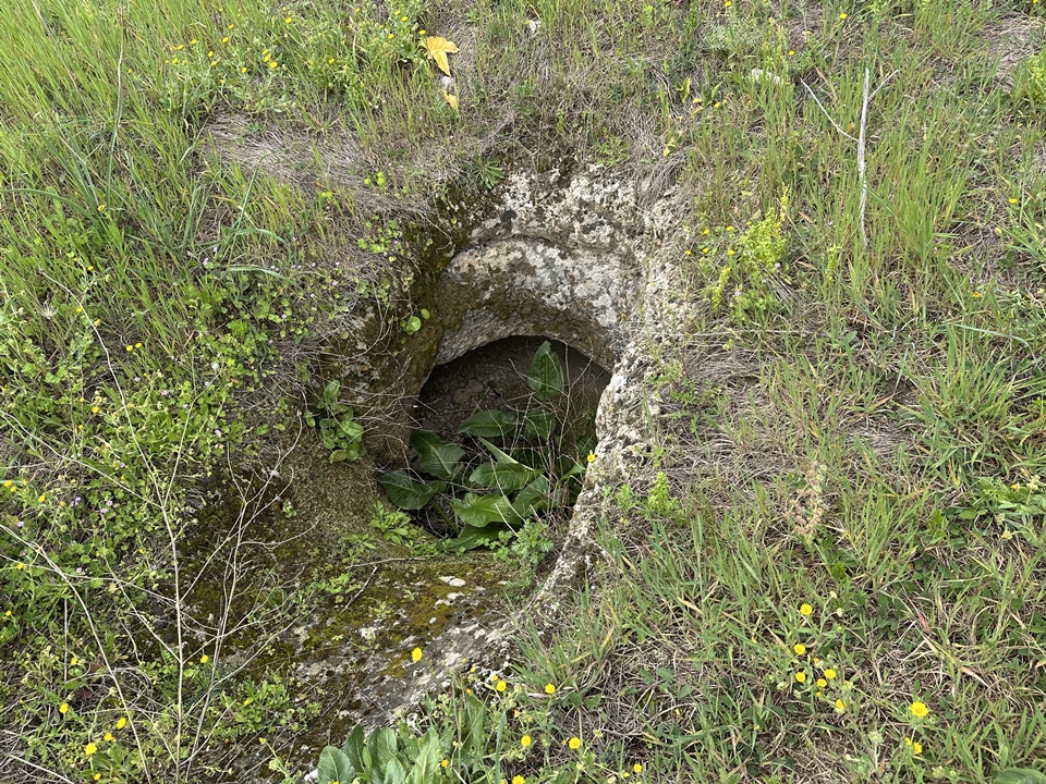 도무스 데 야나스 입구