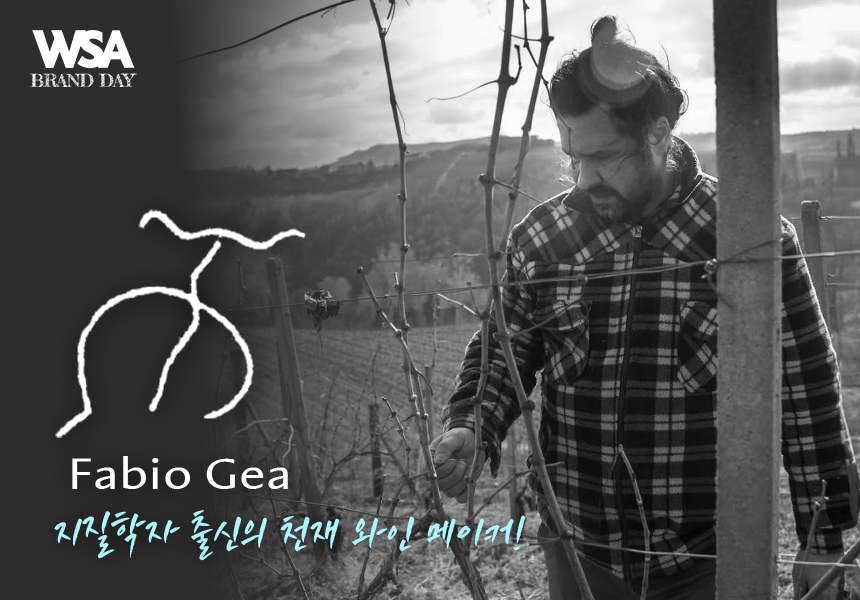 @WSA와인아카데미