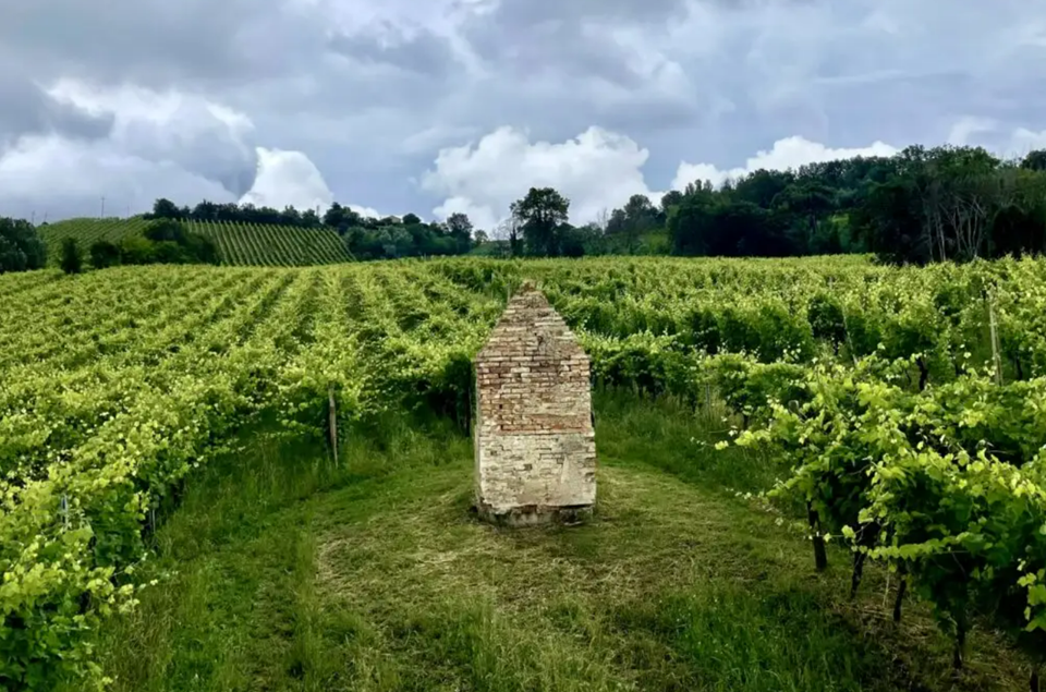 히스토리컬 라벨에 그려진 몬테카로토 빈야드의 모습 (사진=레뱅)
