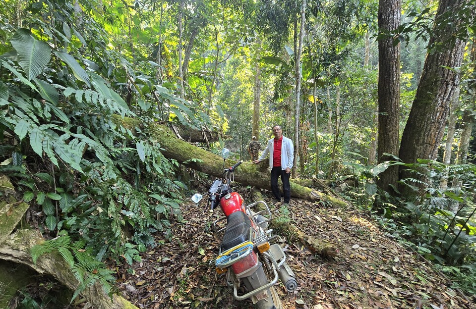 국유림 망지차산의 도자채 차산을 가는 길