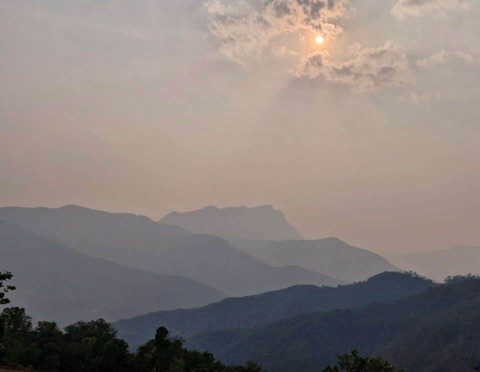운남성 이무지역의 제갈량을 기리는 공명산 차산