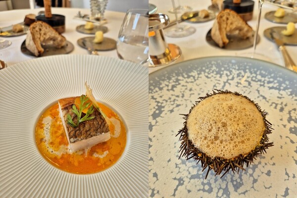 (좌측부터) Sea Bream Confit From Brittany / Carot B. Deloffre 그리고 서비스로 나온 Urchin / Creamy nage