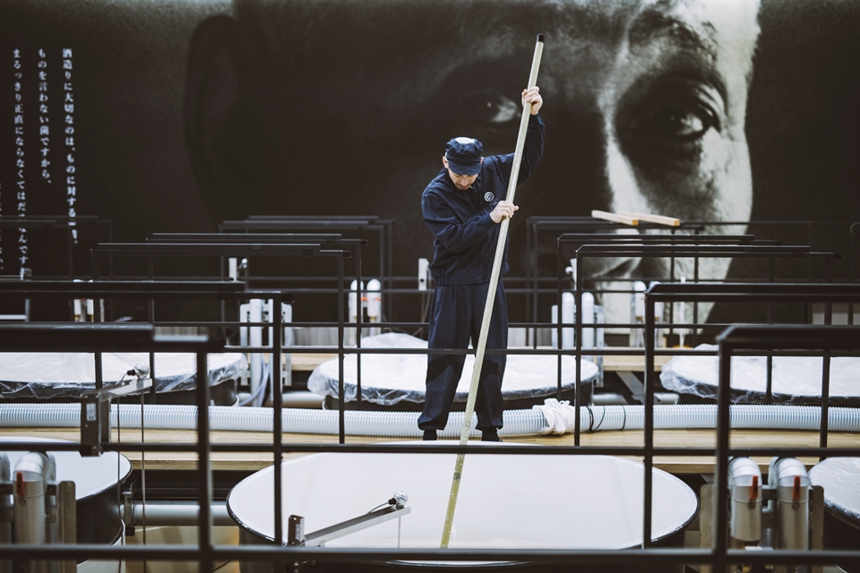 노구치 나오히코의 사케는 자연상태의 천연 유산균만을 활용하는 전통 제조 방식 야마하이 제법을 통해 생산되며 복합적인 아로마와 밀도있는 주질의 사케로 탄생된다