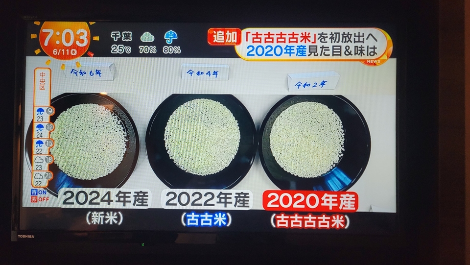 쌀 및 밥맛 비교