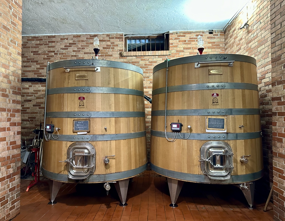 트롱코코니치 티니 발효탱크