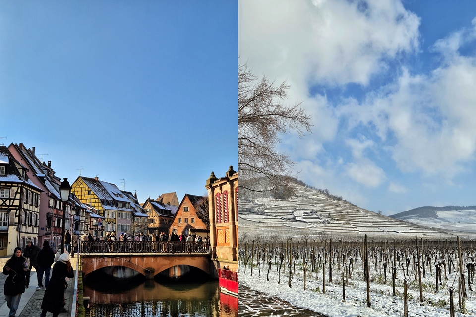 알자스 콜마르 & 눈 내린 포도밭 (사진=마현수)