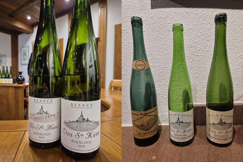 장 트림바흐 끌로 생 띈(Clos Sainte Hune) (사진=마현수)