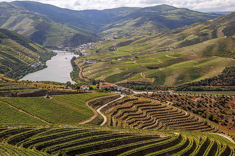 도우로(Douro)의 계단식 포도밭