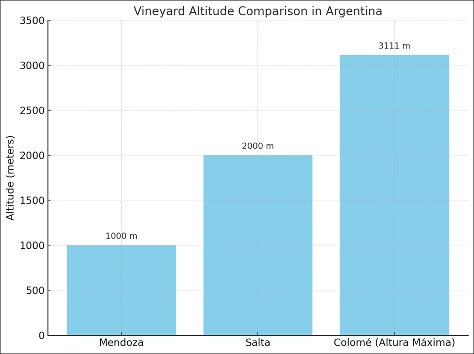 포도밭 높이 비교 (사진=비케이트레이딩)