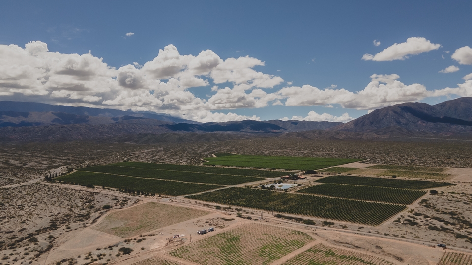 세계 최고 고도에서 탄생한 와인, '콜로메(Colomé)’ (사진=비케이트레이딩)