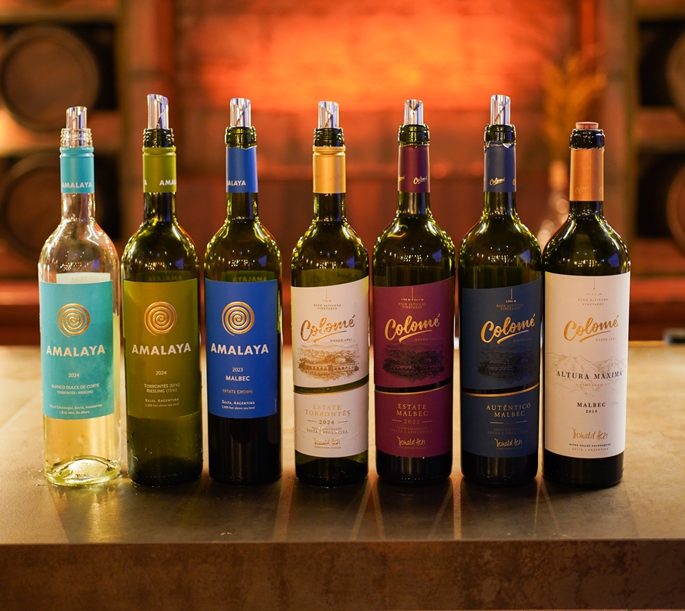 아르헨티나 살타 지역을 대표하는 프리미엄 와이너리 콜로메(Colomé) (사진=비케이트레이딩)