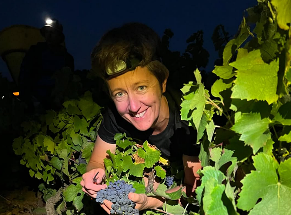 와인메이커인 아니타 쿠넬은 싱글-플롯 빈티지(Single-Plot Vintage) 와인에 집중하며, 밭마다의 개성을 섬세하게 표현하는 와인을 만드는 것을 목표로 하고 있다