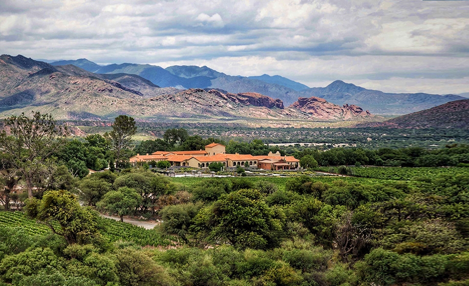 1998년, 아르헨티나 여행 중 마신 와인의 출처를 찾아 직접 발걸음을 옮긴 그는 해발 3,000m 안데스 산자락에 자리한 ‘콜로메’ 와이너리 (사진=비케이트레이딩)