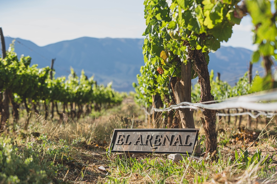 ‘엘 아레날(El Arenal)’ 빈야드 (사진=비케이트레이딩)