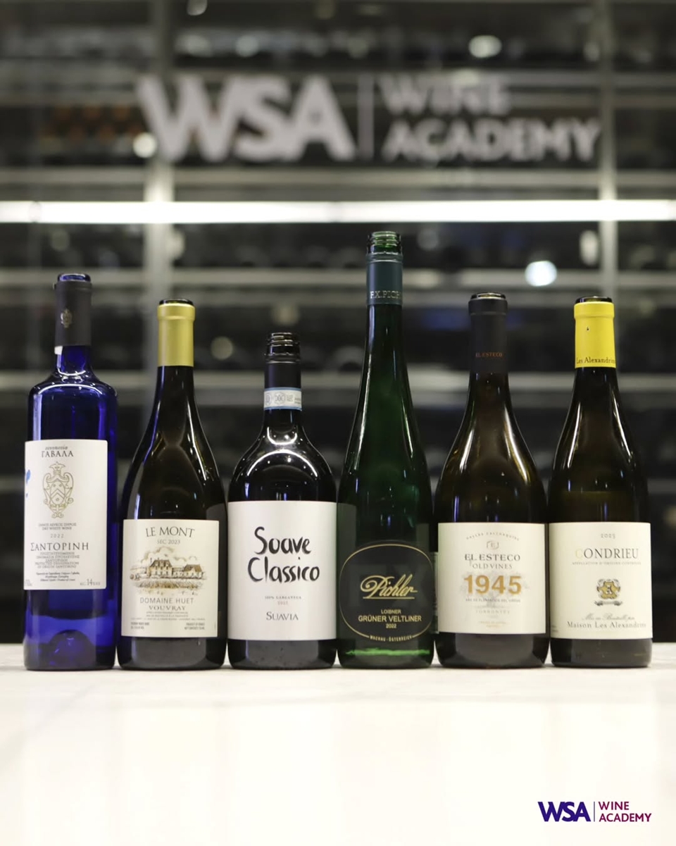 (왼쪽부터) Gavalas Assyrtiko Santorini 2022, Domaine Huet Le Mont Sec Vouvray 2023, Suavia Soave Classico 2023, FX Pichler Grüner Veltliner Loibner Ried Loibenberg 2022, El Esteco Old Vine Torrontes 2022, Maison Les Alexandrins Condrieu 2023