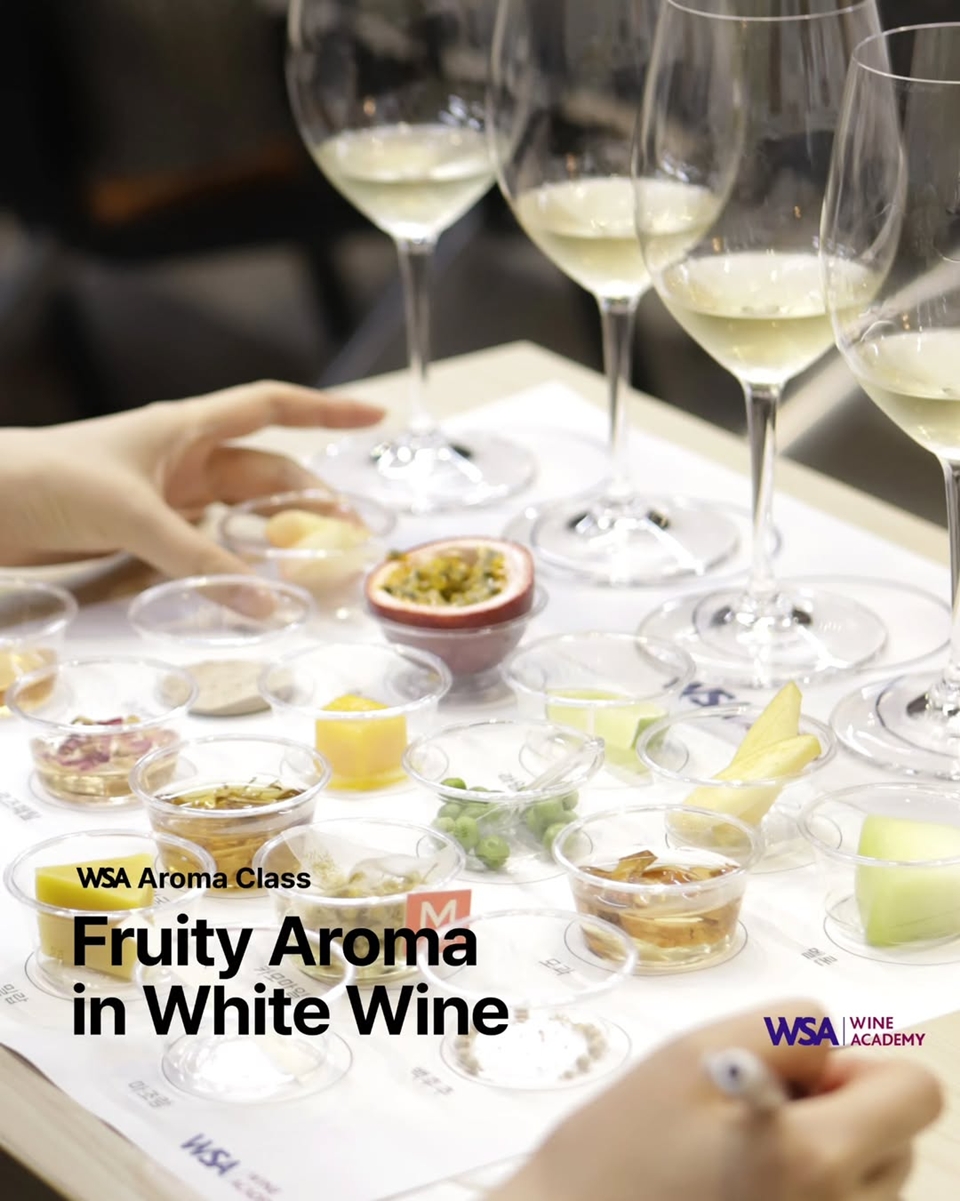 WSET 와인전문교육기관 WSA 와인 아카데미에서 화이트 와인 아로마를 위한 클래스 'Fruity Aroma in White Wine'가 진행됐다