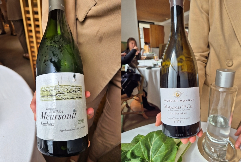 (왼쪽부터) Roulot Meursault “Luchets” 2018 & Bachelet-Monnot Maranges 1er Cru “La Fussière” 2021 (사진=마현수)
