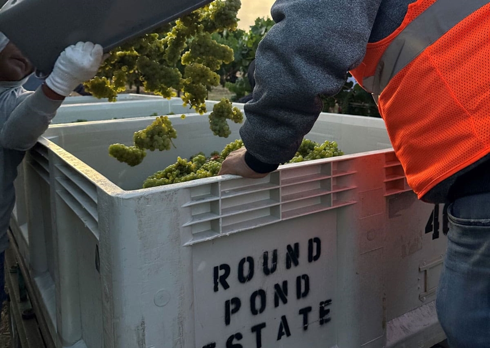 @Napa Valley Vintners