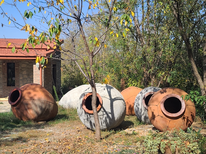 조지아의 대표적인 와인산지 카헤티에서 크베브리를 만드는 장인인 자자 크빌라쉬빌리(Zaza Kbilashvili)의 작업장 마당에 있는 크베브리들의 모습