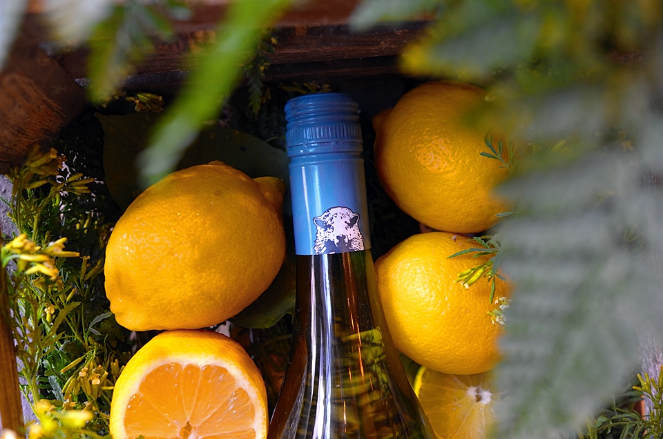 뉴질랜드 아와테레 밸리(Awatere Valley)와 이어지는 바닷가에서 약 0.5마일 떨어진 블라인드 리버(Blind River)의 절벽 지대에 자리한 베이커스 마르케 와인즈(Bakers Marque Wines)는  지속가능한 와인 재배 프로그램(SWNZ)의 엄격한 관리와 100% 비건 프렌들리 인증을 통해 소비자들에게 건강하고 책임감 있는 와인을 선보이고 있다