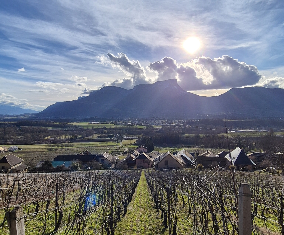  11 H Domaine H 