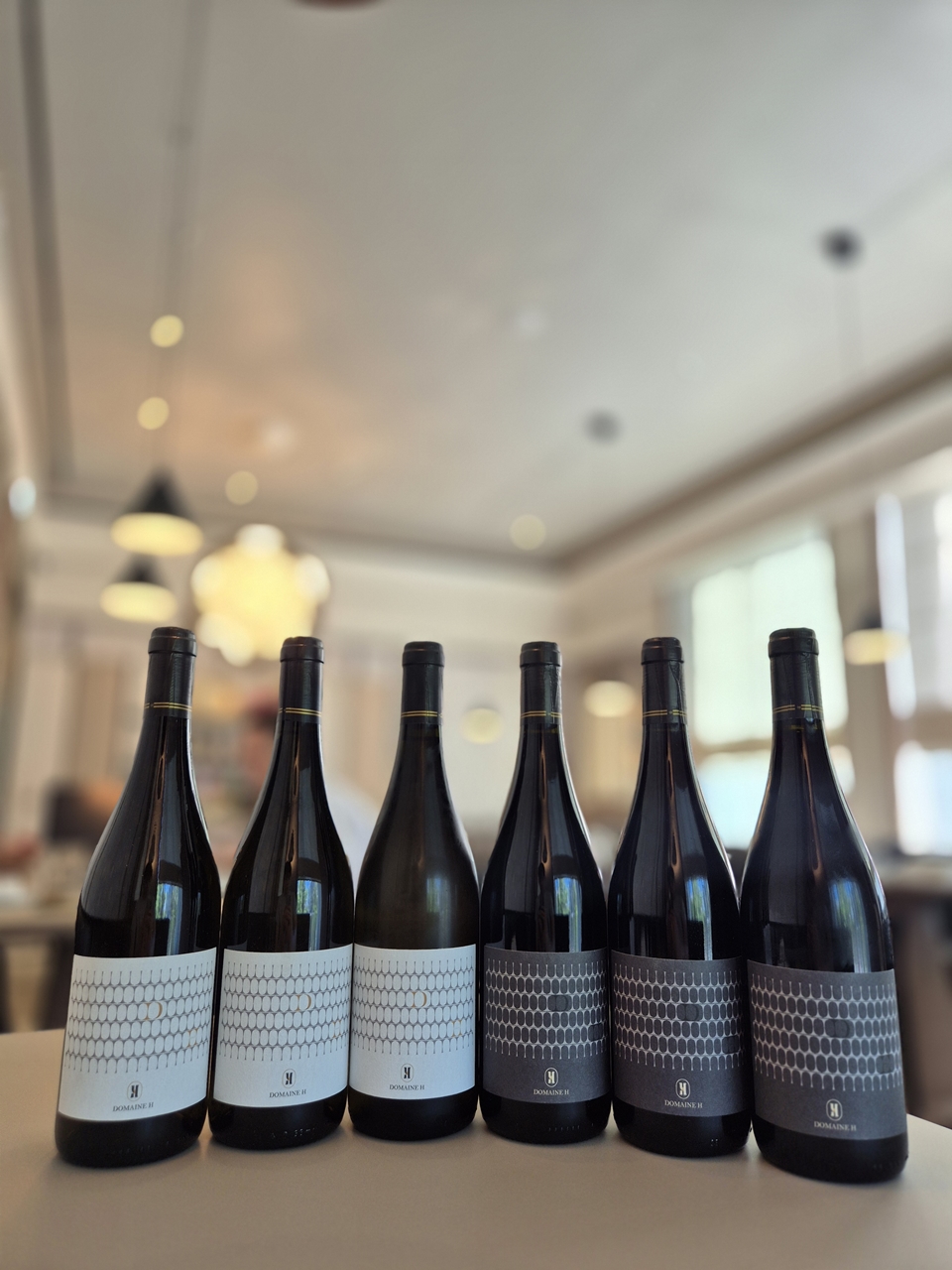 11-h-domaine-h